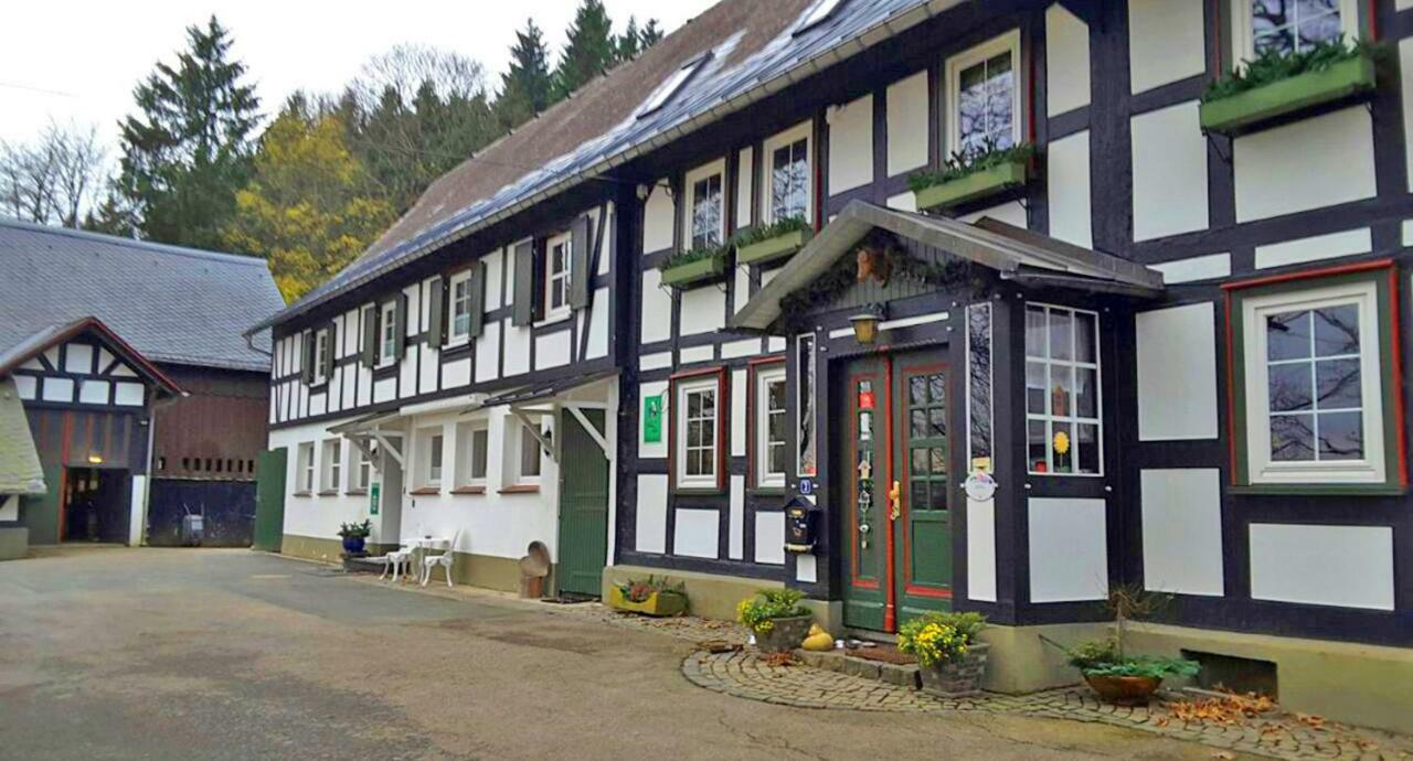 Berghof Schmitte Guest House Winterberg Exterior photo