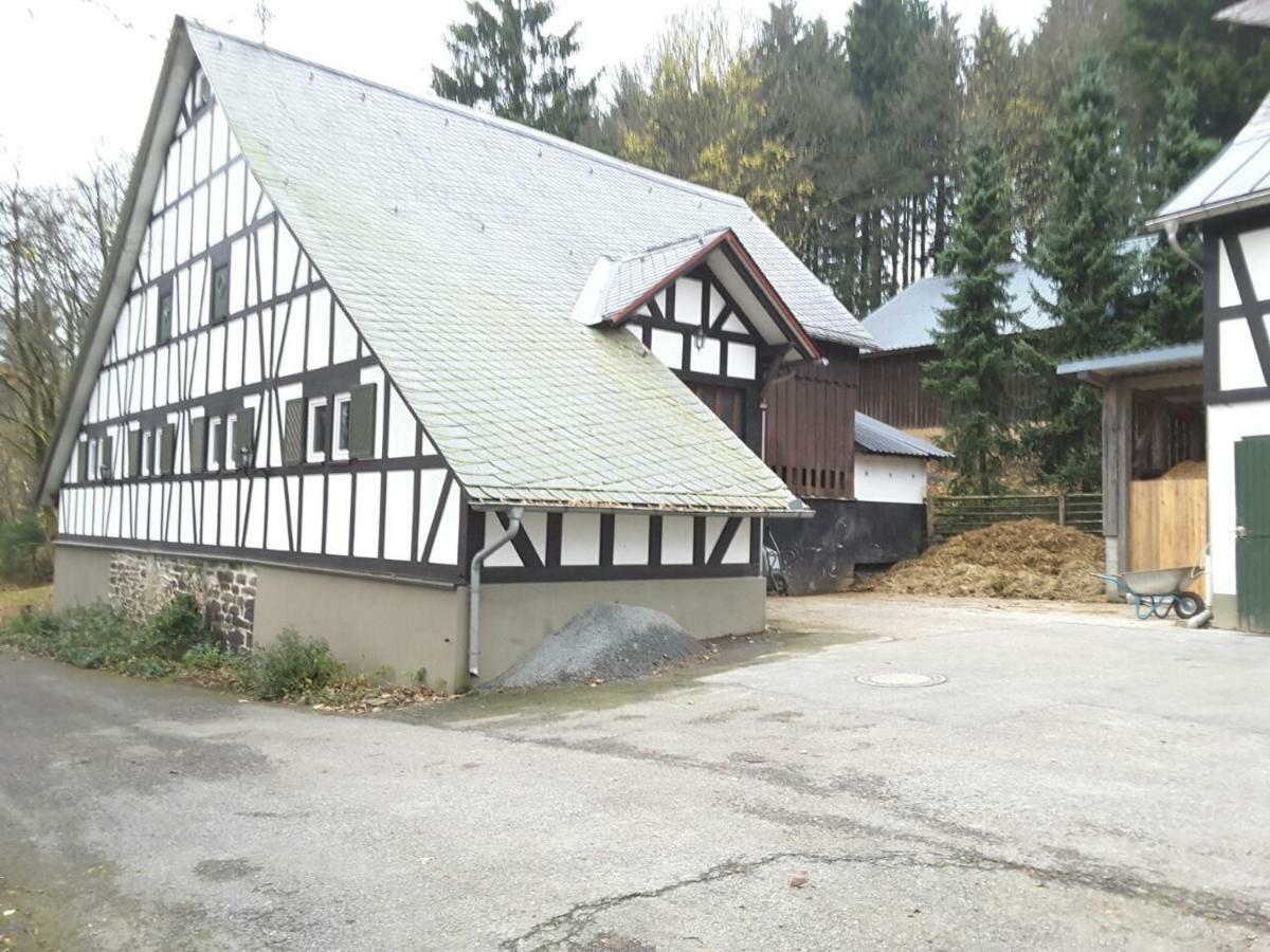 Berghof Schmitte Guest House Winterberg Exterior photo
